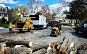 Best Lawn Renovation and Restoration  in Newton, NJ