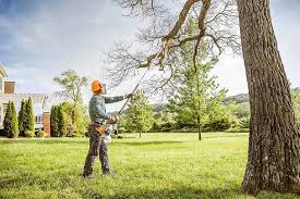 Best Firewood Processing and Delivery  in Newton, NJ