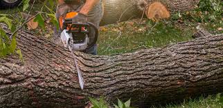 Best Soil Testing and Treatment  in Newton, NJ