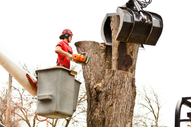 Best Aeration Services  in Newton, NJ